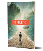 The Bible 101 book